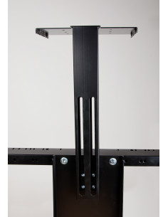 celexon camera mount for Professional Plus series display stands