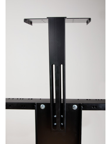 celexon camera mount for Professional Plus series display stands