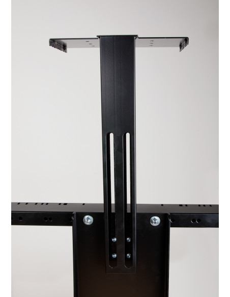 celexon camera mount for Professional Plus series display stands