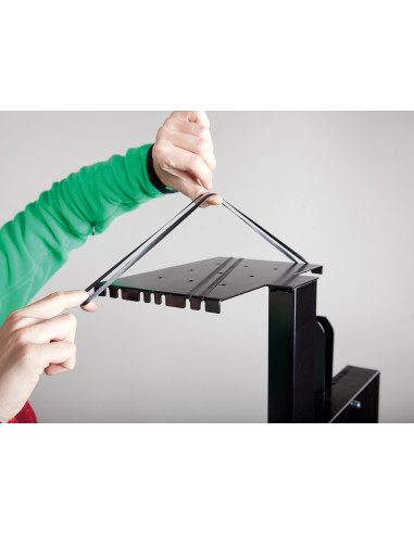 celexon camera mount for Professional Plus series display stands