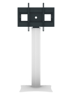 celexon Professional Plus display stand Fixed-42100P