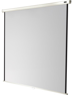 celexon screen Manual Economy