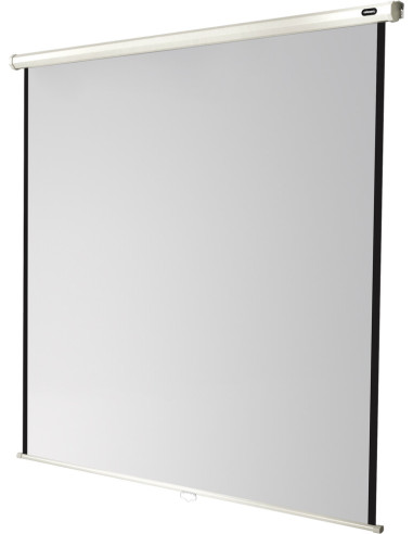 celexon screen Manual Economy