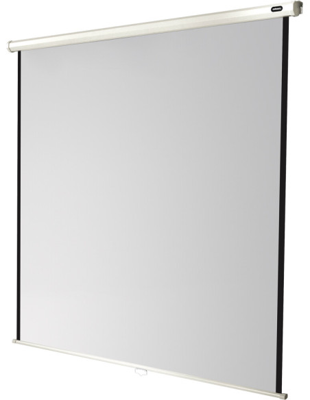 celexon screen Manual Economy