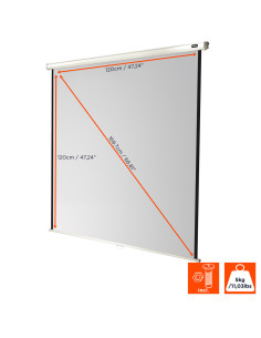 celexon screen Manual Economy 2