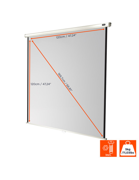 celexon screen Manual Economy