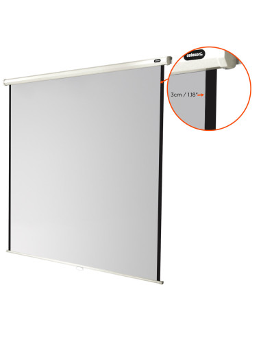 celexon screen Manual Economy