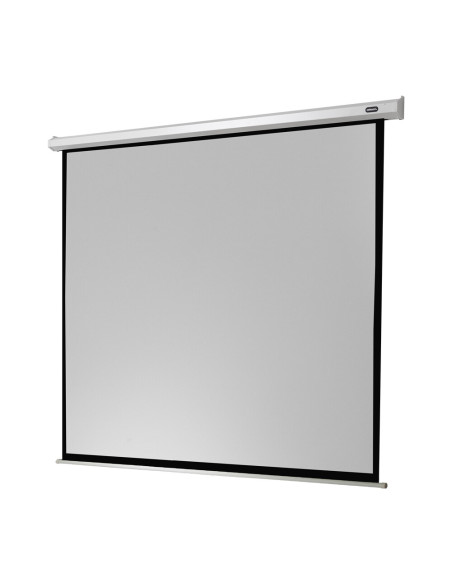 celexon Screen Electric Economy