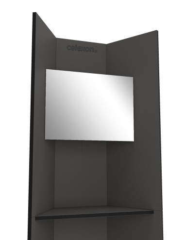 celexon Hygiene station 180 all-in (disinfection / masks / gloves / cloths / surface cleaners) - anthracite