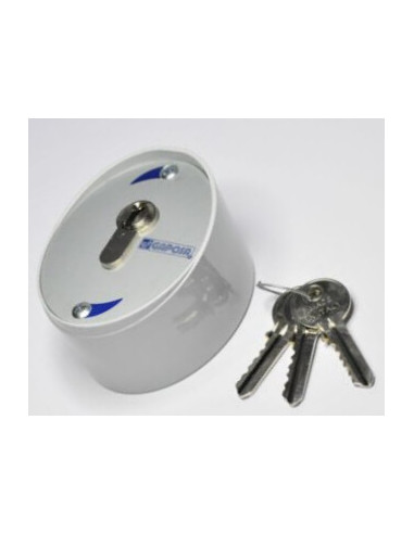 celexon Schlüsselschalter zur Verwendung mit Motorleinwänden, 4-adrig