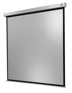 Celexon Electric Professional Plus Screen