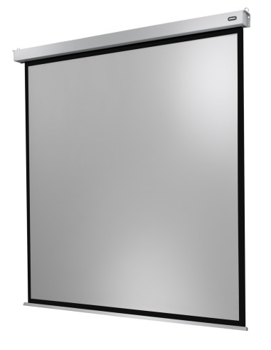 Celexon Electric Professional Plus Screen