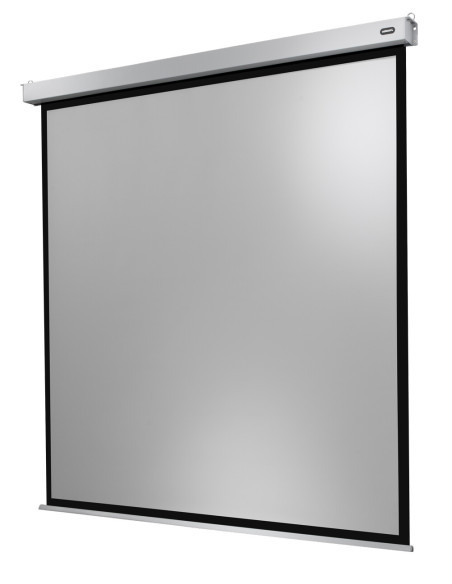 Celexon Electric Professional Plus Screen