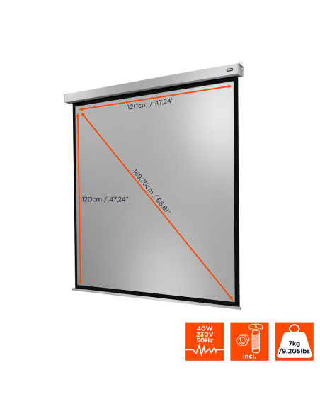 Celexon Electric Professional Plus Screen