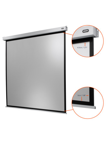 Celexon Electric Professional Plus Screen