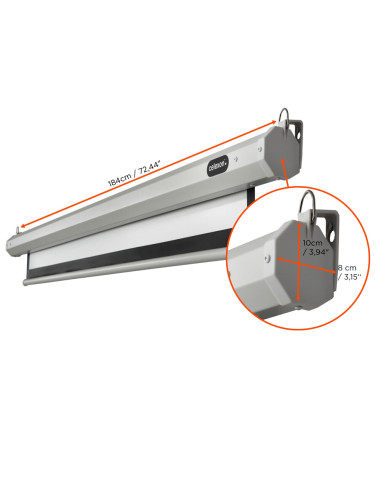 celexon screen Electric Economy 160 x 160