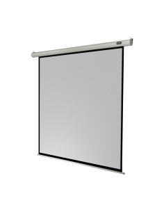 celexon screen Electric Economy