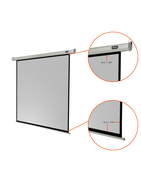 celexon screen Electric Economy