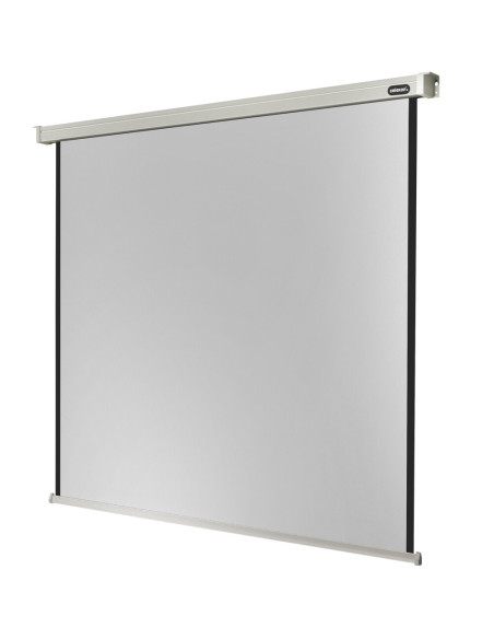 celexon screen Electric Professional