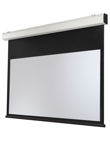 celexon Expert XL electric screen