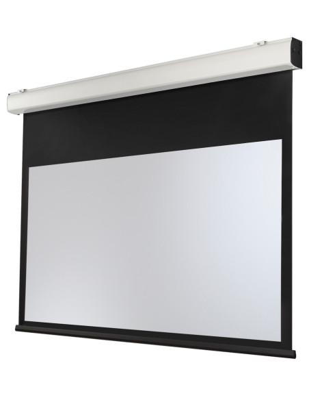 celexon Expert XL electric screen