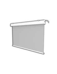 celexon Electric Expert screen