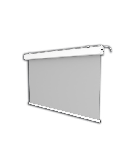 celexon Electric Expert screen