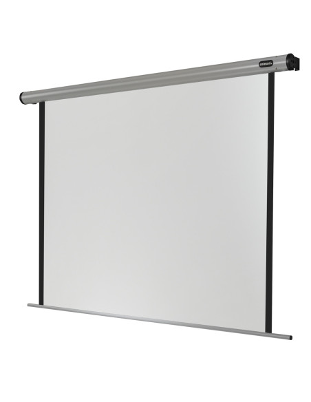 celexon screen Electric Home Cinema