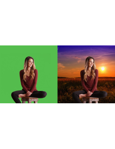 celexon Mobile Chroma Key Green Screen