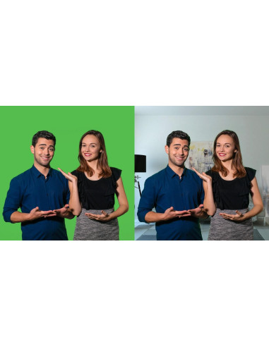 celexon Mobile Chroma Key Green Screen