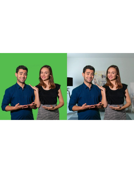 celexon Mobile Chroma Key Green Screen