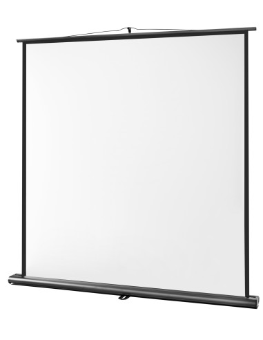 celexon screen Ultramobile Professional