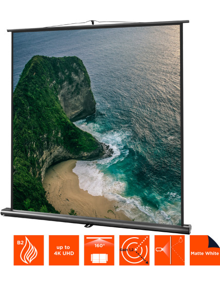 celexon screen Ultramobile Professional