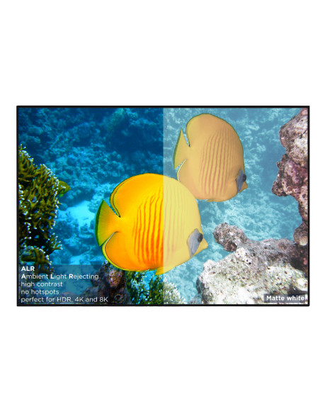 celexon HomeCinema High Contrast Frame Screen126 - Dynamic Slate ALR