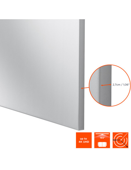 celexon Expert Fixed Frame screen PureWhite