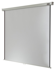 celexon screen Manual Professional