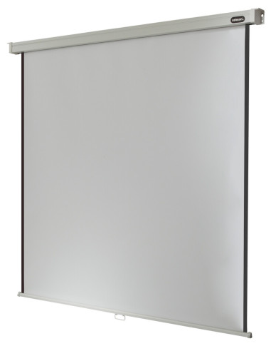 celexon screen Manual Professional