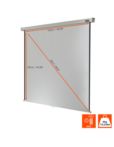 celexon screen Manual Professional