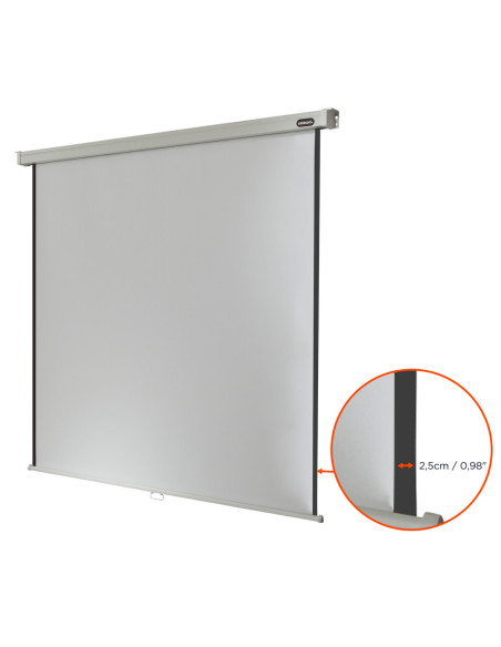 celexon screen Manual Professional