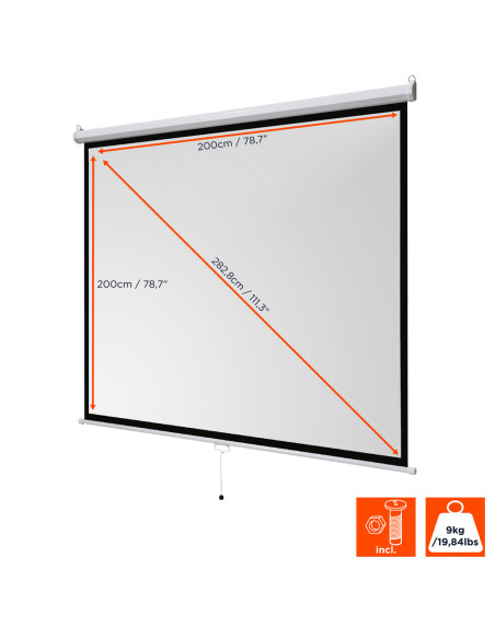 celexon basic Manual pull down screen,Format 1:1, Home cinema screen, Projection screen, 3D screen, Full HD screen, projector