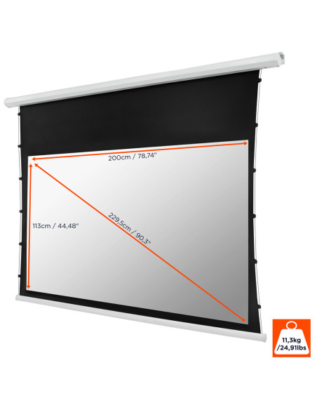 celexon basic electric tab tension screen