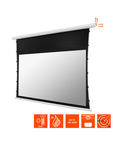 celexon basic electric tab tension screen