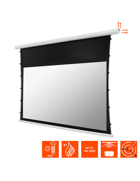 celexon basic electric tab tension screen